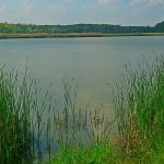 Zichy-tó - Zichyújfalu